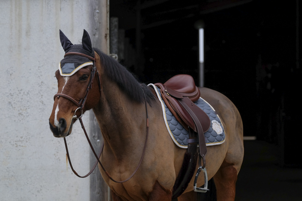 Tapis de selle EQUITHÈME "Denim"