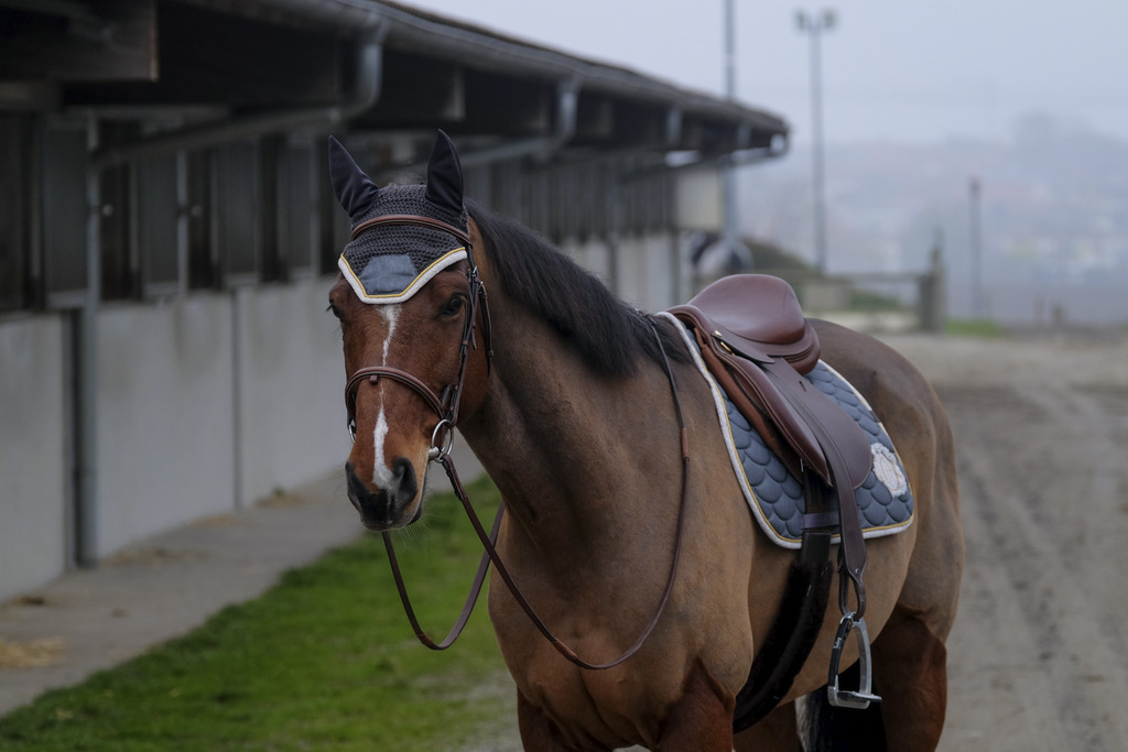Tapis de selle EQUITHÈME "Denim"
