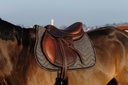 Tapis de selle EQUITHÈME "Chevron"