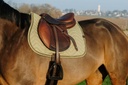 Tapis de selle EQUITHÈME "Chevron"