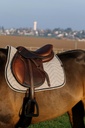 Tapis de selle EQUITHÈME "Chevron"