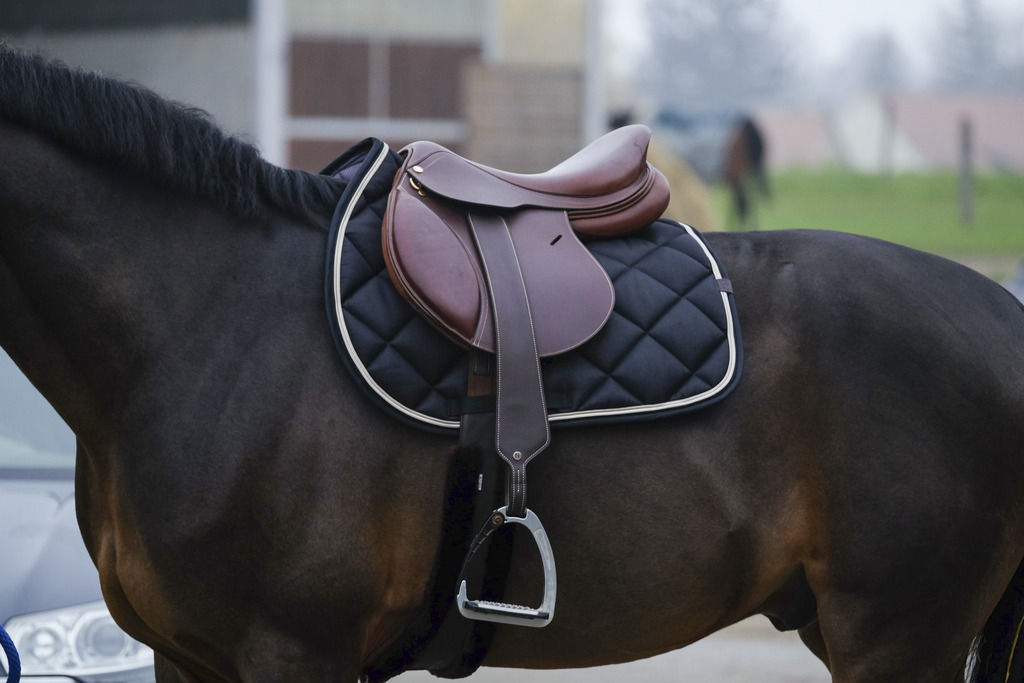 Tapis de selle EQUITHÈME "Classic"