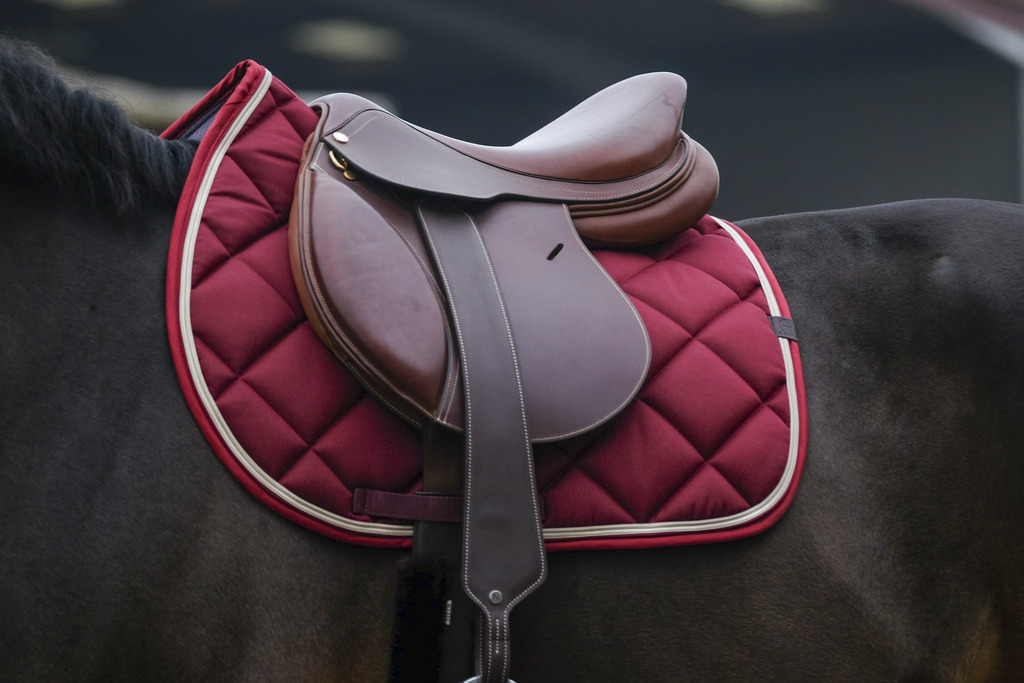 Tapis de selle EQUITHÈME "Classic"