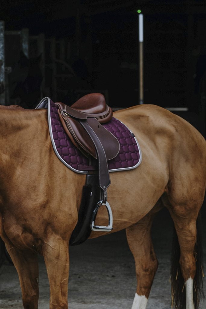 Tapis de selle EQUITHÈME "Orion"