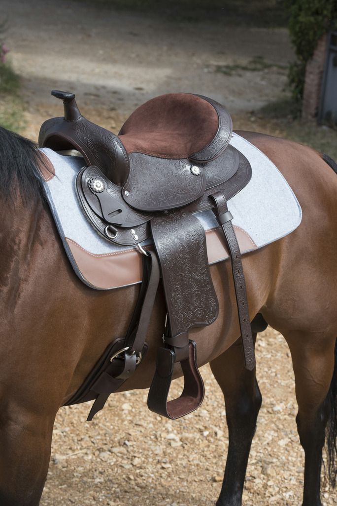 Pad WESTRIDE feutre 16 mm