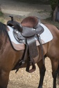 Pad WESTRIDE feutre 16 mm