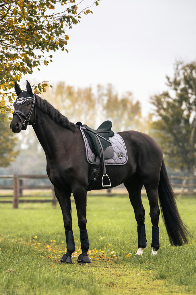 Tapis de selle BACK ON TRACK® "Haze Collection"