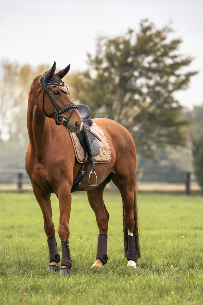 Tapis de selle BACK ON TRACK® "Haze Collection"