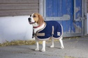 Couverture chien DIEGO & LOUNA "Polyfun"