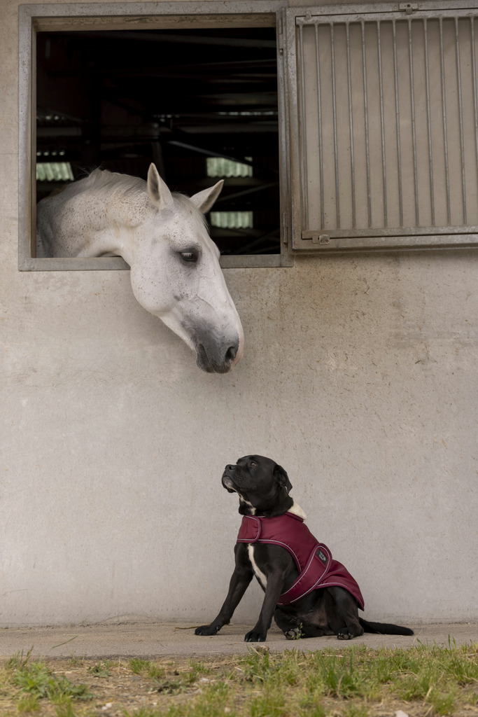 Couverture polaire DIEGO & LOUNA "Teddy"
