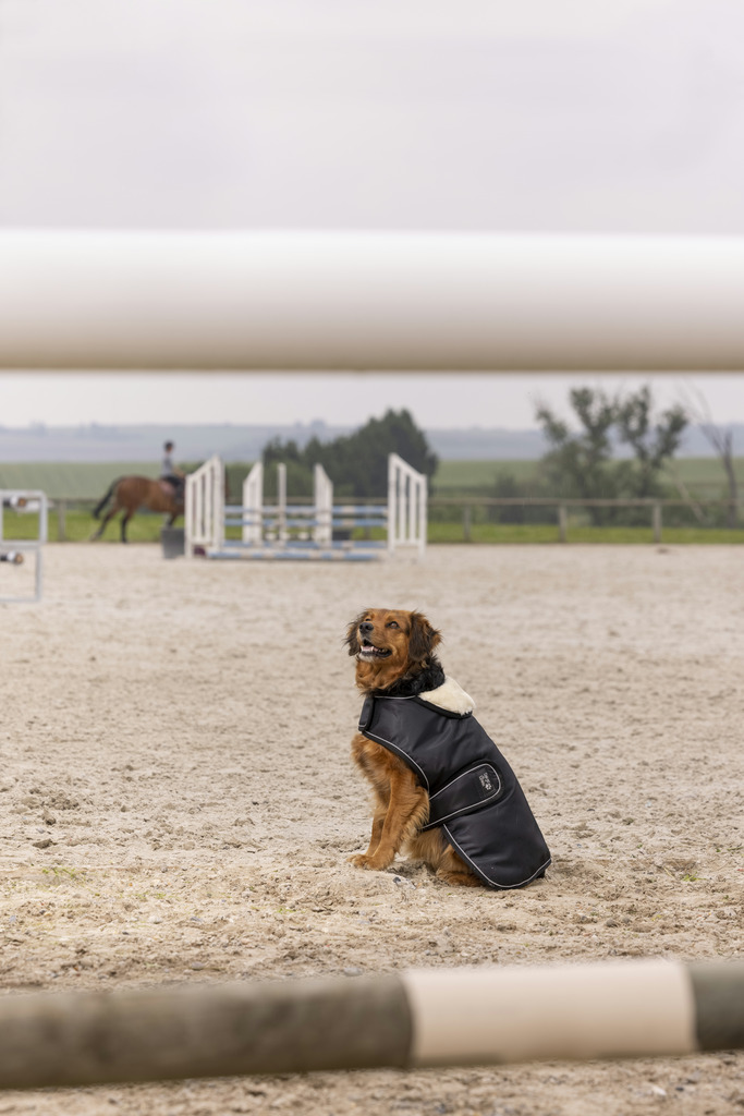 Couverture polaire DIEGO & LOUNA "Teddy"