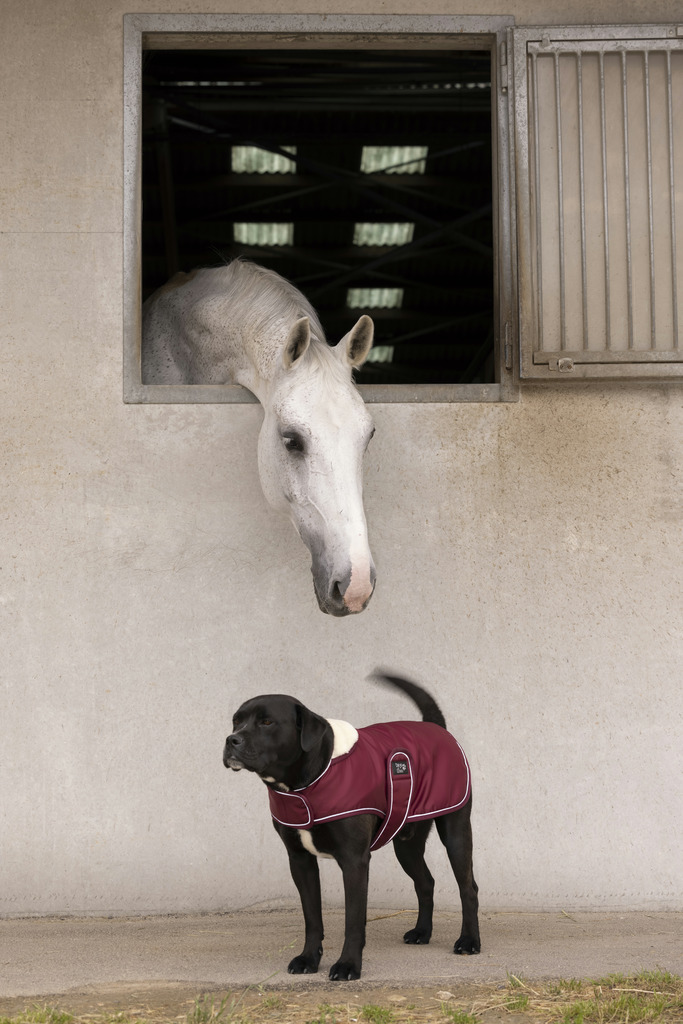 Couverture polaire DIEGO & LOUNA "Teddy"