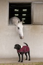 Couverture polaire DIEGO & LOUNA "Teddy"