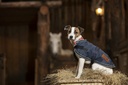 Couverture DIEGO & LOUNA 600D pour chien