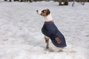 Couverture DIEGO & LOUNA 600D pour chien