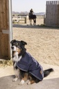 Couverture DIEGO & LOUNA 600D pour chien