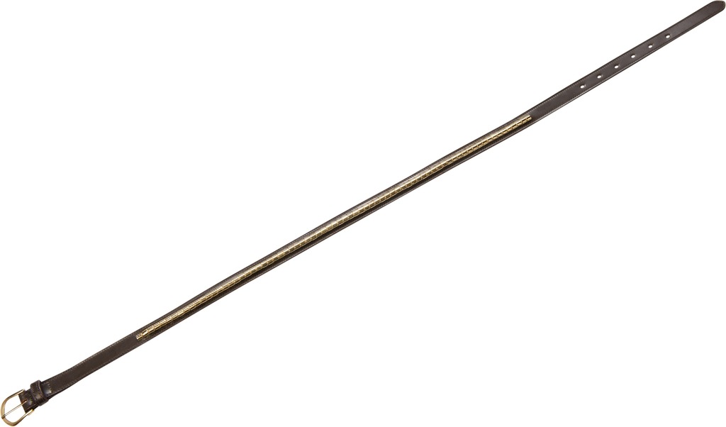 Ceinture EQUITHÈME “Clincher”