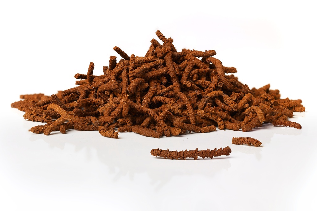 Digest Plus - Ulcère gastrique