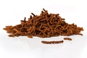 Digest Plus - Ulcère gastrique
