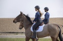 T-shirt EQUITHÈME "Savy"