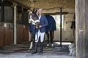 Veste de concours EQUITHÈME "Dublin"