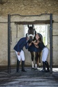 Veste de concours EQUITHÈME "Dublin"