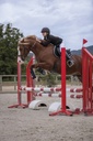 Veste de concours EQUITHÈME "Soft Classic" - Enfant