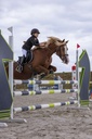 Veste de concours EQUITHÈME "Soft Classic" - Enfant