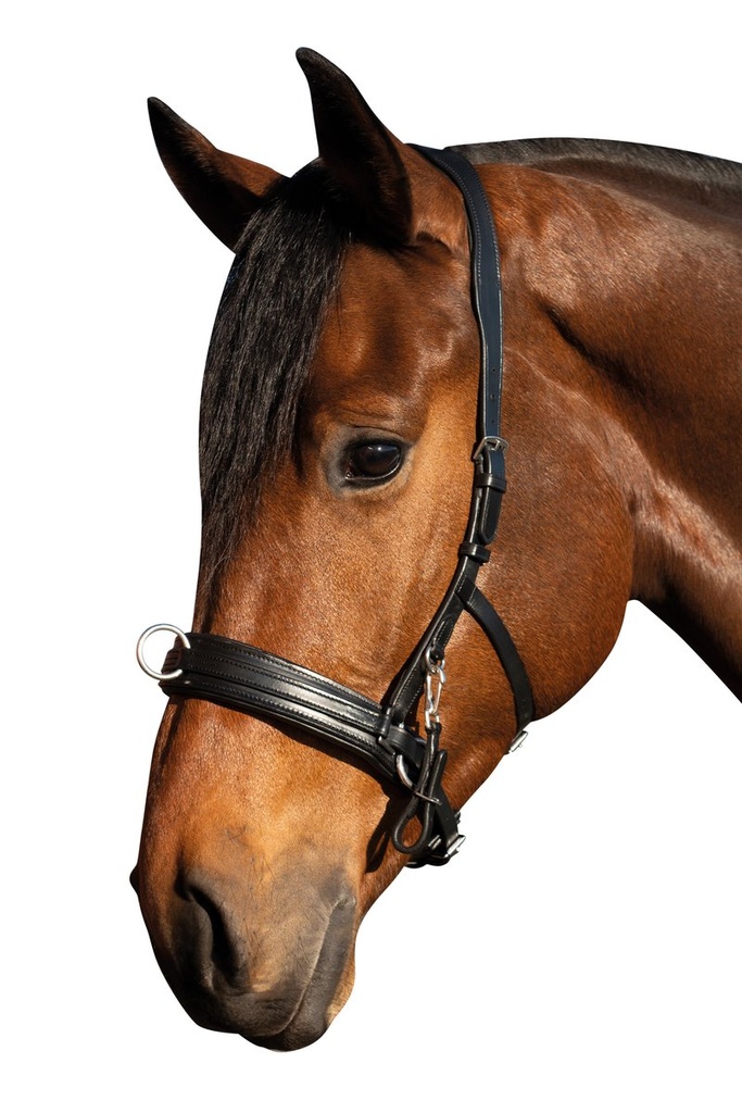 Filet caveçon -Comfort- - noir (9100) (2)