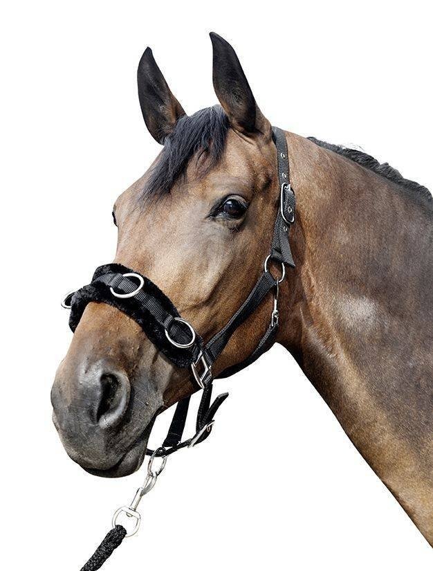 Filet caveçon en nylon rembour - noir (9100) (2)