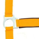 Licol NORTON "Fluo" doublé