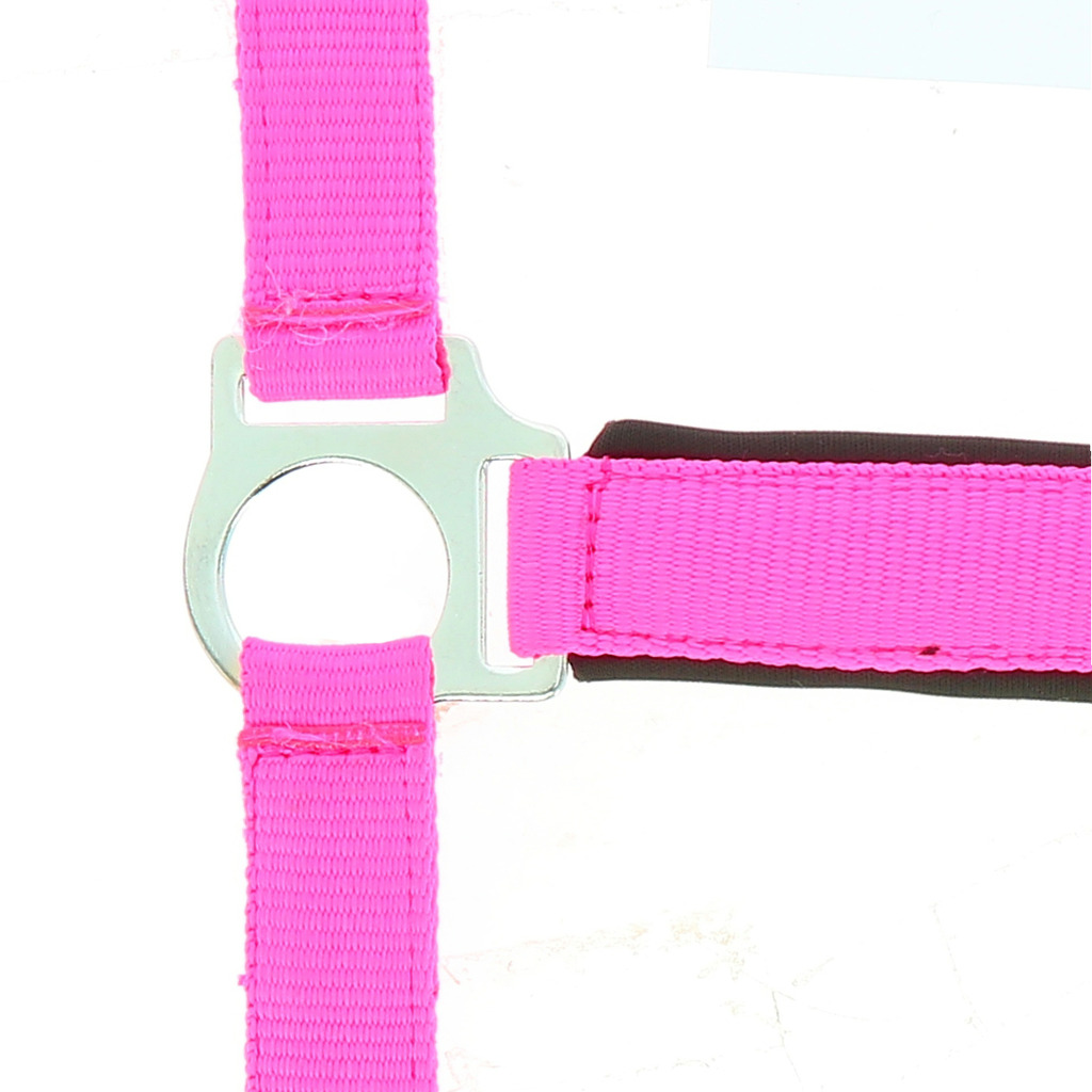 Licol NORTON "Fluo" doublé