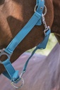 Licol NORTON "Fluo" doublé