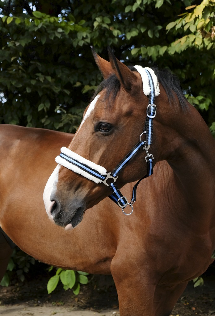 Licol NORTON "Mouton synthétique doux"