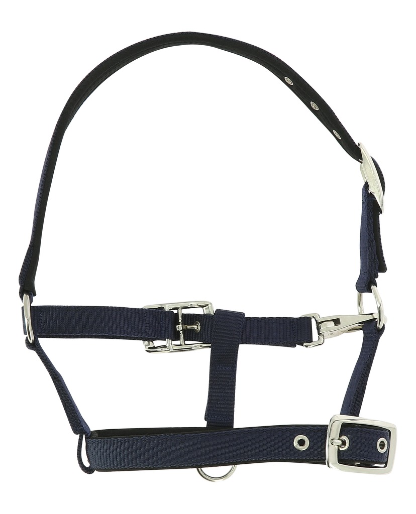 Licol foal NORTON "Respirant"