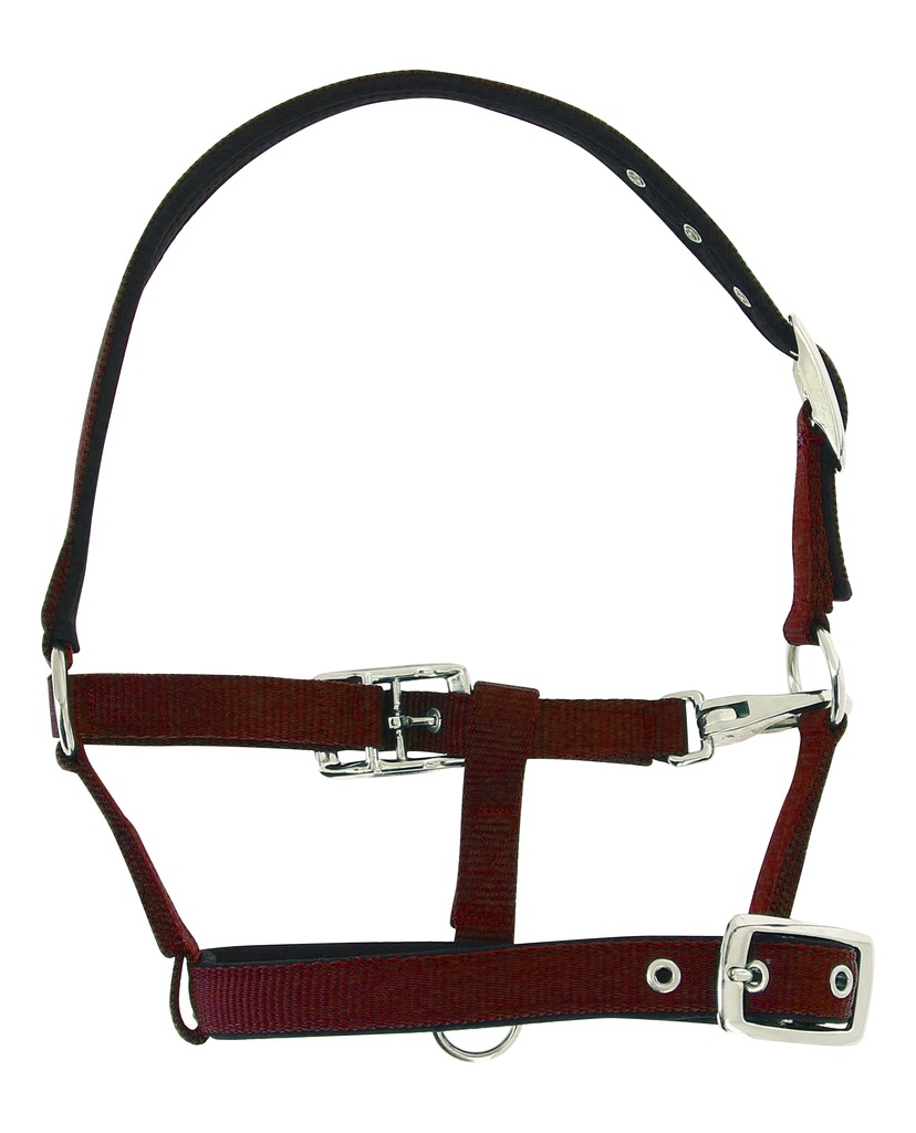 Licol foal NORTON "Respirant"