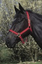 Licol RIDING WORLD