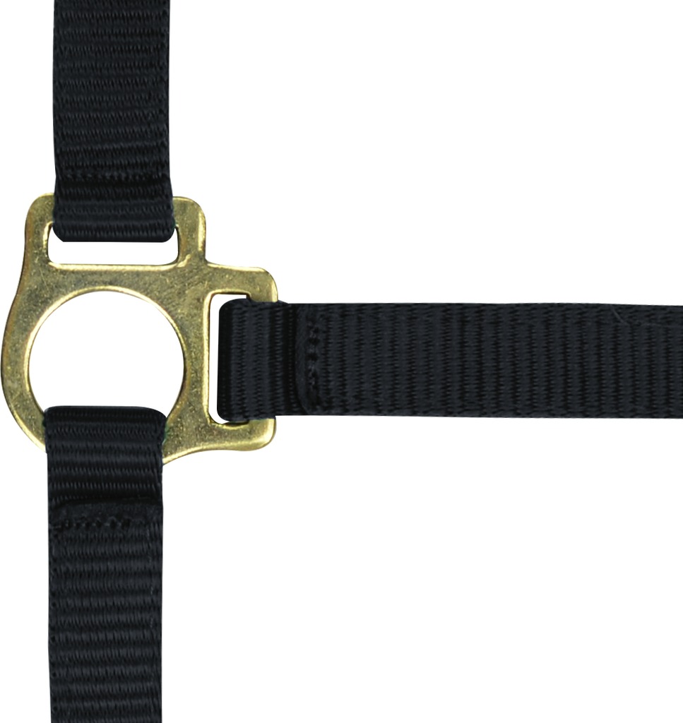 Licol foal + longe NORTON