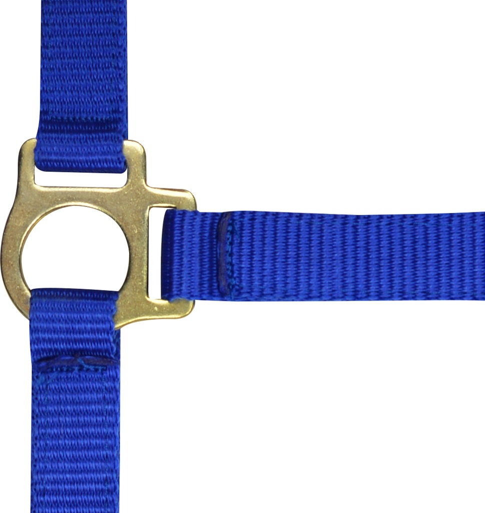 Licol foal + longe NORTON