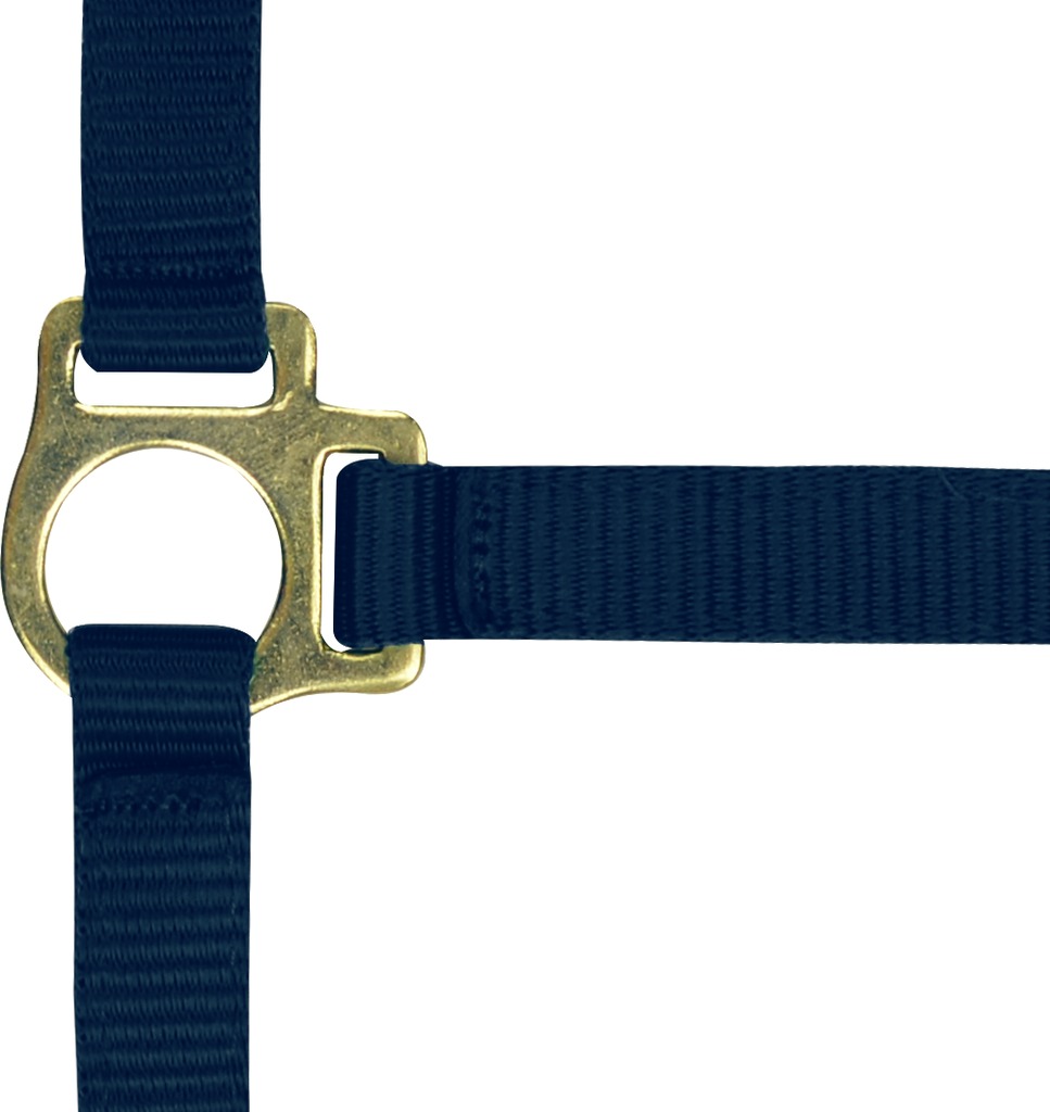 Licol foal + longe NORTON