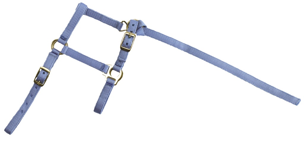 Licol foal + longe NORTON