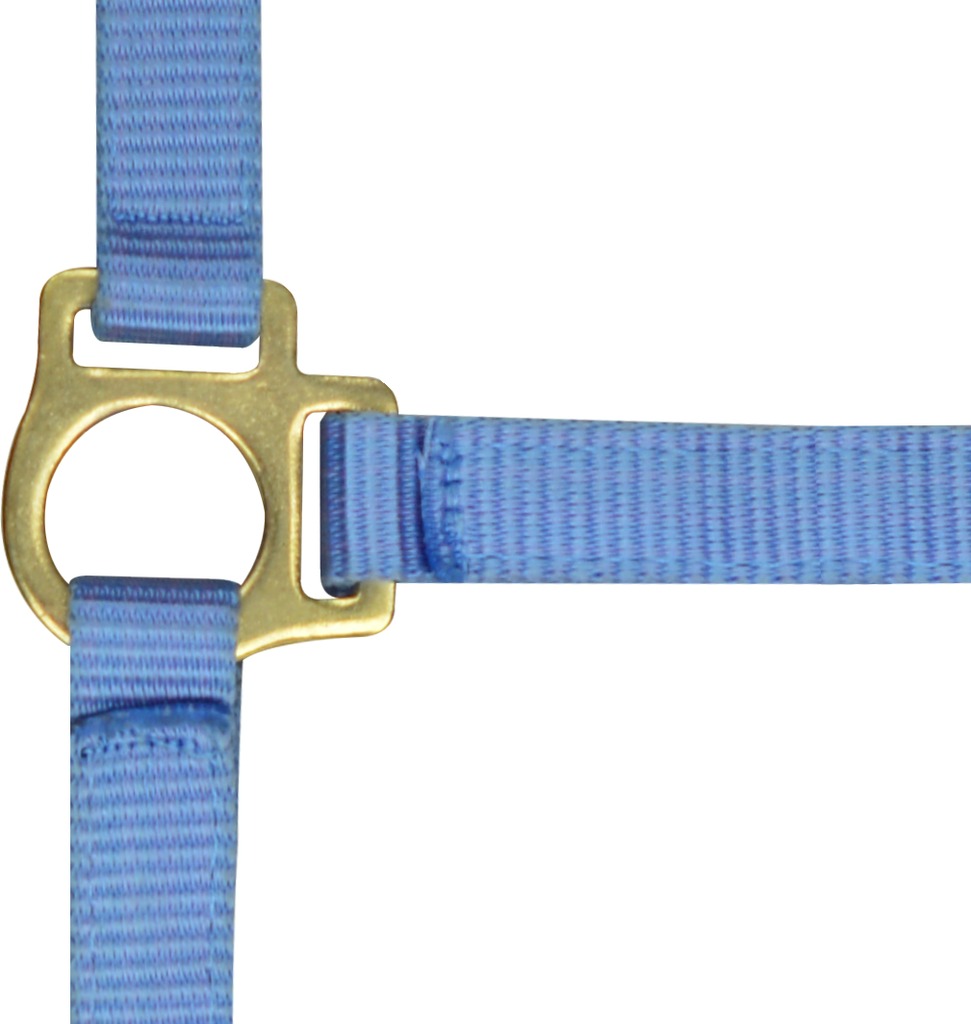 Licol foal + longe NORTON