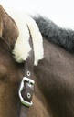 Licol EQUITHÈME "Mouton synthétique"