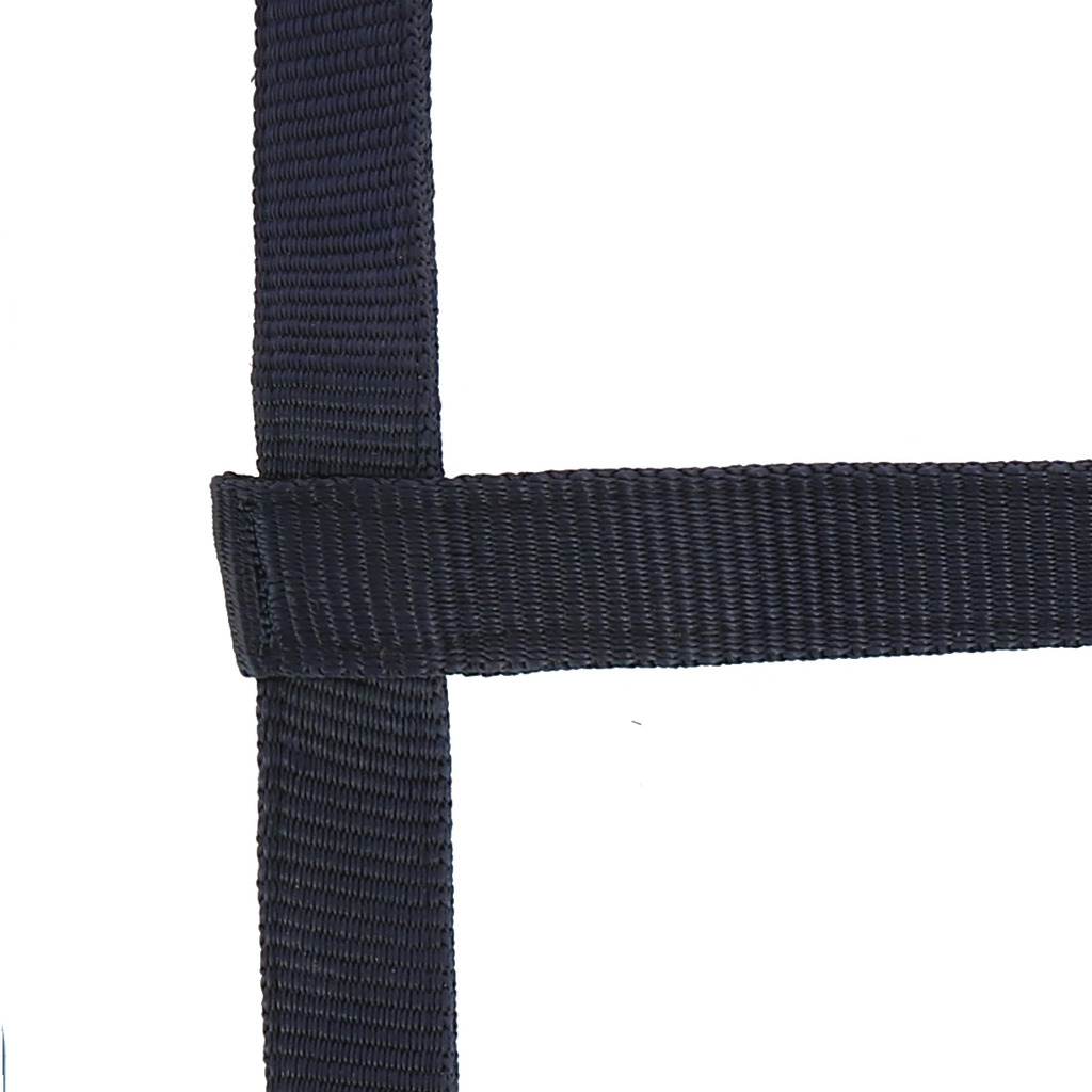 Licol NORTON sans boucle