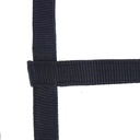 Licol NORTON sans boucle