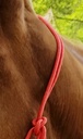 Licol éthologique RIDING WORLD corde "Fin"