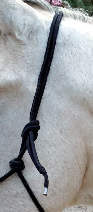 Licol éthologique NORTON avec rênes