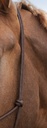 Licol éthologique NORTON doux