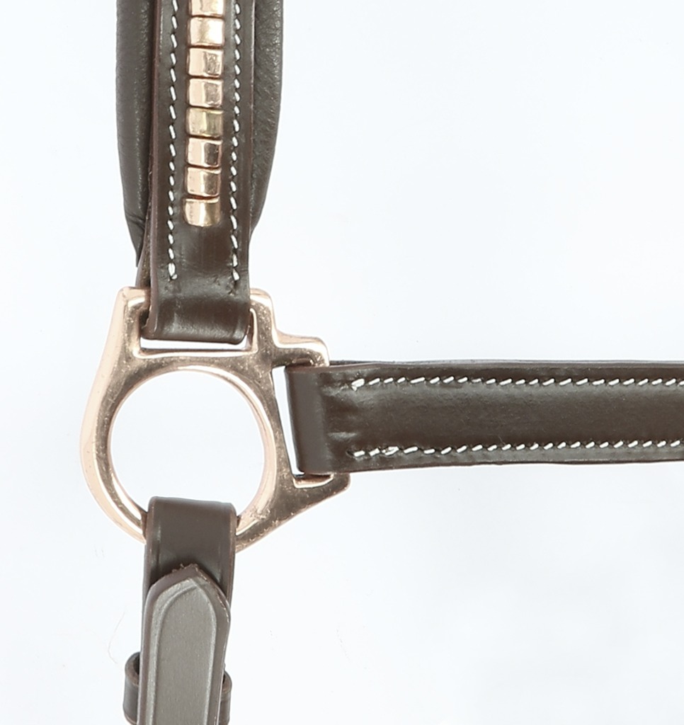 Licol cuir NORTON PRO "Clincher"