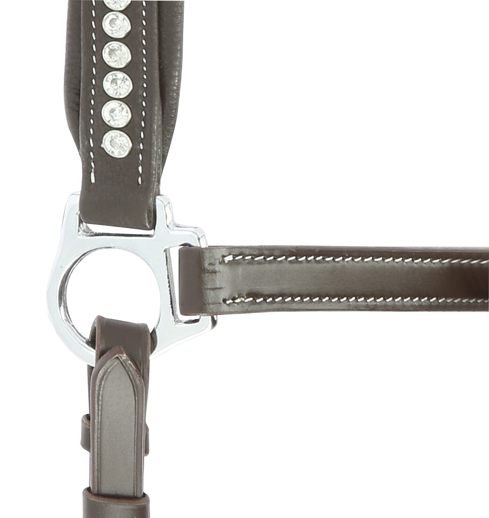 Licol cuir NORTON PRO "Strass"